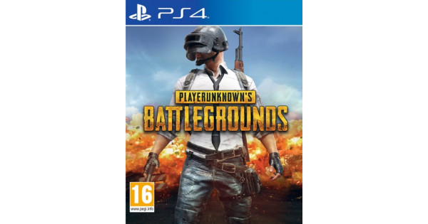 Купить игру PlayerUnknown’s Battlegrounds (PUBG) (PS4) для Sony ...